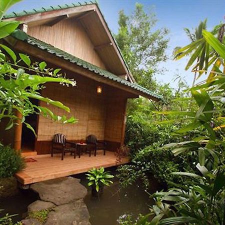 The Aura Shanti Retreat Baturiti Exteriör bild