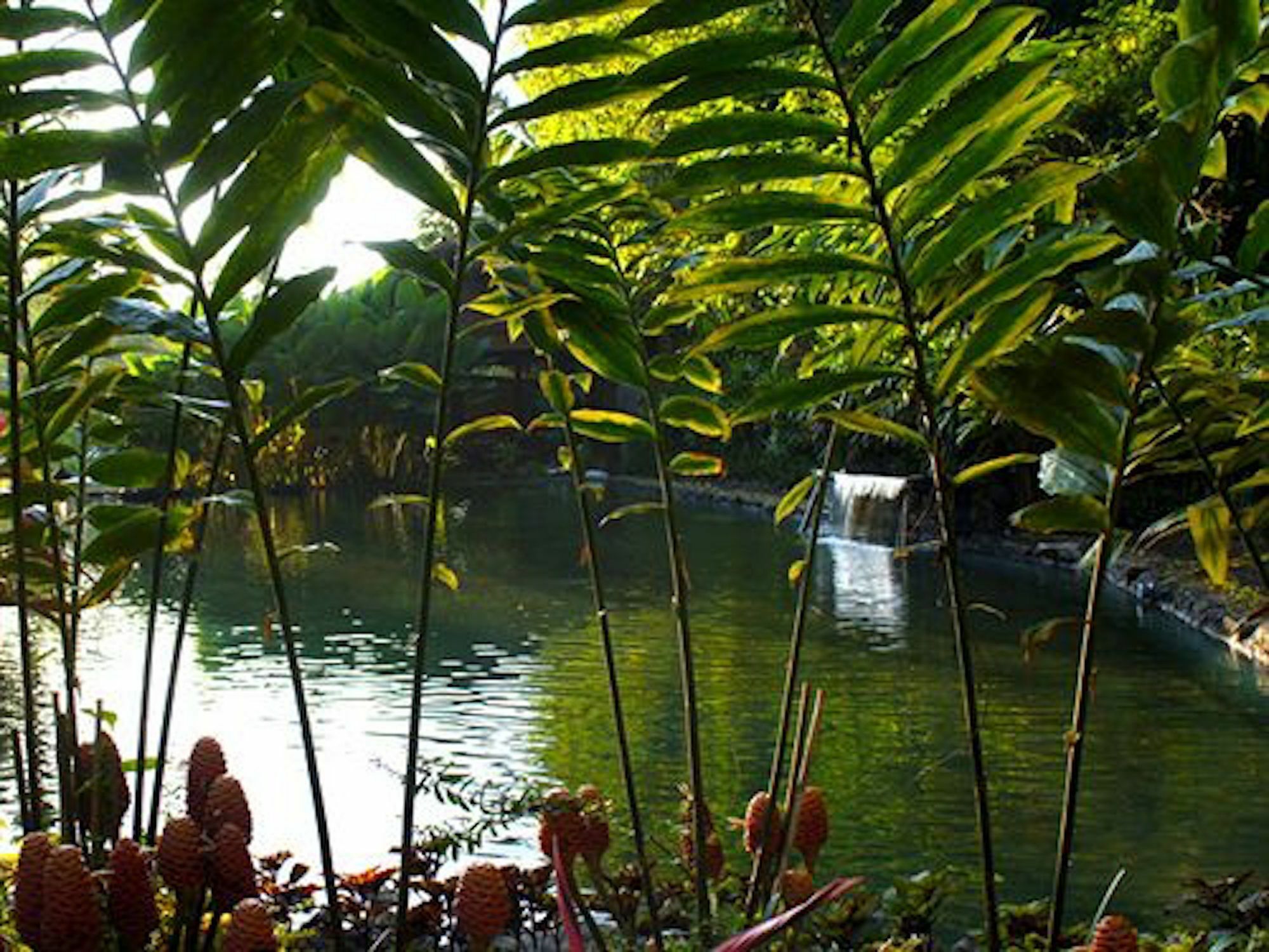 The Aura Shanti Retreat Baturiti Exteriör bild